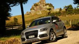 Audi Q5 w Nowej Zelandii - część 1 - galeria redakcyjna - inne zdjęcie