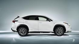 Lexus NX 300h (2014) - prawy bok