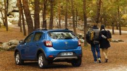 Dacia Sandero II Stepway - widok z tyłu