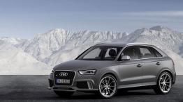 Audi RS Q3 (2014) - widok z przodu