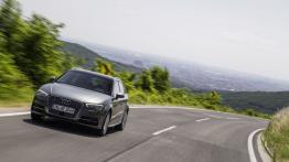 Audi A3 III Sportback e-tron (2013) - widok z przodu