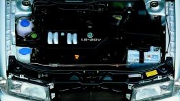 Skoda Octavia I Kombi - silnik