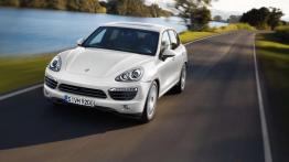 Przegląd rynku hybryd i samochodów elektrycznych