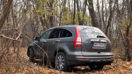 Honda CR-V - pozycja ugruntowana