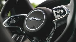 Jaguar I-Pace EV400 400 KM - galeria redakcyjna - inny element panelu przedniego