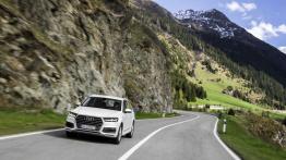 Audi Q7 II (2015) - widok z przodu