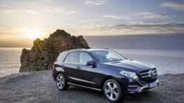 Mercedes GLE 250 d 4MATIC (W 166) 2016 - prawy bok