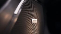 Renault Talisman (2016) - głośnik w drzwiach przednich