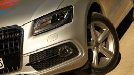 Audi Q5 w Nowej Zelandii - część 1 - galeria redakcyjna - inne zdjęcie