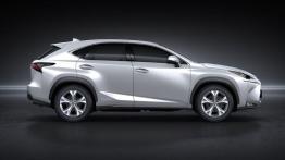 Lexus NX 300h (2014) - prawy bok