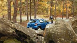 Dacia Sandero II Stepway - widok z tyłu