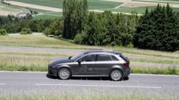 Audi A3 III Sportback e-tron (2013) - lewy bok