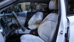 Ból głowy Elona, obawy marek premium – Hyundai na Poznań Motor Show 2018