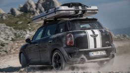 Mini Countryman ALL4 Camp (2013) - widok z tyłu