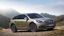 Opel Insignia Country Tourer (2013) - prawy bok