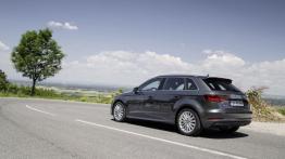 Audi A3 III Sportback e-tron (2013) - lewy bok