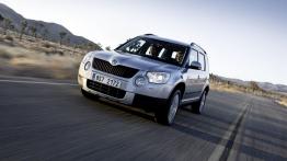 Skoda Yeti 2011 - widok z przodu