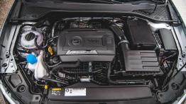 Seat Leon Cupra 290 - szybkość i precyzja