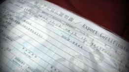 Porsche Carrera 2 - rzeczywistość jak gra