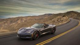 Chevrolet Corvette C7 Stingray Cabrio (2014) - lewy bok