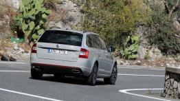 Skoda Octavia III RS Kombi 2.0 TDI (2013) - widok z tyłu