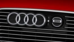 Audi A3 III e-tron (2013) - grill