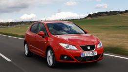 Seat Ibiza 2008 - widok z przodu