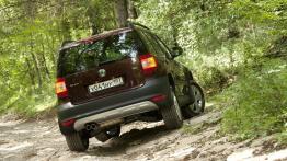 Skoda Yeti w Odessie - galeria redakcyjna - widok z tyłu