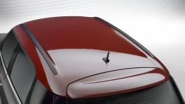 Mini Countryman Park Lane (2015) - dach