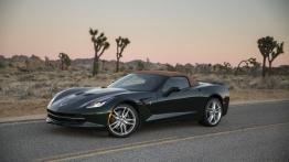 Chevrolet Corvette C7 Stingray Cabrio (2014) - lewy bok