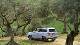 Subaru Forester IV - wersja europejska - widok z tyłu