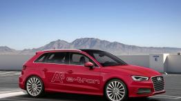 Audi A3 III e-tron (2013) - prawy bok