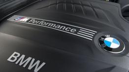 BMW M135i - silnik