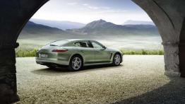 Przegląd rynku hybryd i samochodów elektrycznych