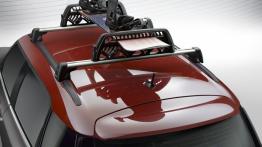 Mini Countryman Park Lane (2015) - bagażnik dachowy