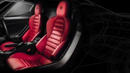 Alfa Romeo 4C (2013) - widok ogólny wnętrza z przodu