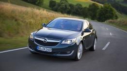 Opel Insignia Facelifting (2013) - widok z przodu
