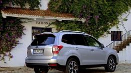 Subaru Forester IV - wersja europejska - widok z tyłu
