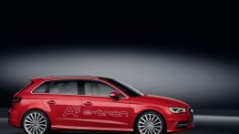Audi A3 III e-tron (2013) - prawy bok