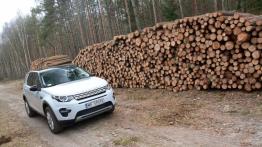 Land Rover Discovery Sport - galeria redakcyjna - widok z przodu