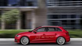 Audi A3 III e-tron (2013) - lewy bok