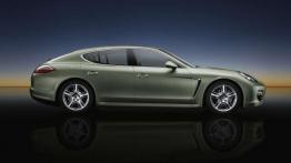 Przegląd rynku hybryd i samochodów elektrycznych