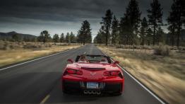 Chevrolet Corvette C7 Stingray Cabrio (2014) - widok z tyłu