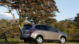 Subaru Forester IV - wersja europejska - widok z tyłu
