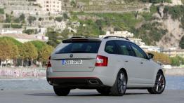 Skoda Octavia III RS Kombi 2.0 TDI (2013) - widok z tyłu