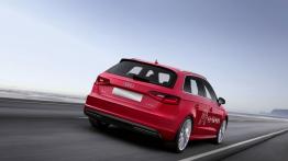 Audi A3 III e-tron (2013) - widok z tyłu
