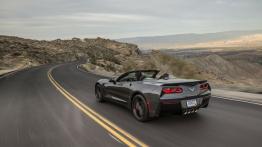 Chevrolet Corvette C7 Stingray Cabrio (2014) - widok z tyłu