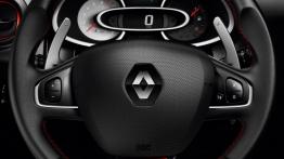 Renault Clio IV RS 200 (2013) - kierownica