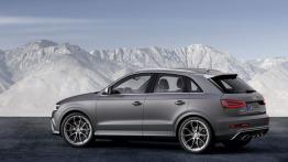 Audi RS Q3 (2014) - lewy bok