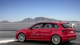 Audi A3 III Sportback e-tron (2013) - lewy bok